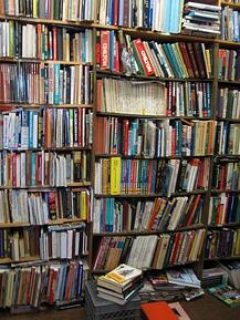 Why do we read fiction?