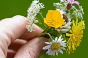 Posy