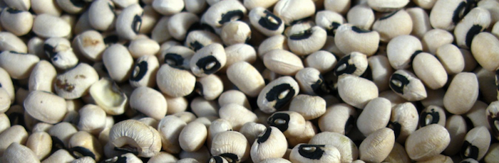 black eyed peas