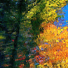 Fall colors