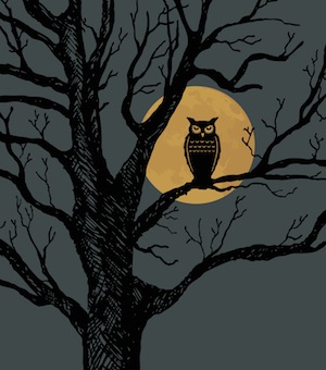 The Night Owl's Reading List