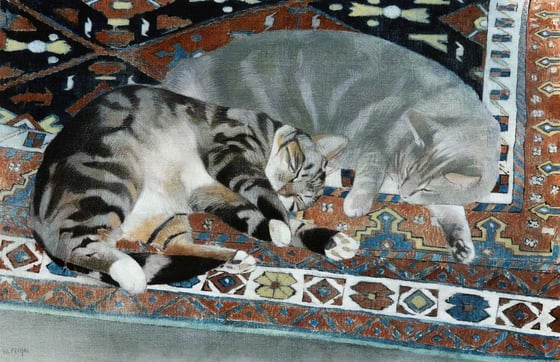 i just like cats okay